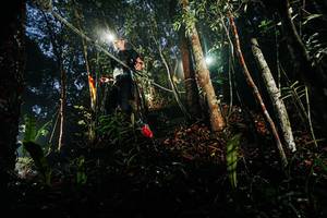 BIB: 
                            <button type="button" onclick="openModal(26388180)" class="btn btn-primary btn-sm float-right btn-popup" data-toggle="modal" data-target=".modal-high-quality">
                        <i class="fas fa-shopping-cart"></i> Add to Cart
                    </button>
                                            <button type="button" onclick="isThisMe(26388180, true)" class="btn btn-success btn-sm float-right btn-popup btn-isme hidden" data-toggle="tooltip" data-placement="bottom" title="นี่คือรูปของคุณใช่ไหม คลิกที่นี่เพื่อเอาเข้าอัลบั้ม">
                        <i class="fas fa-plus"></i> Add to album
                    </button>
                    <button type="button" onclick="isThisMe(26388180, false)" class="btn btn-warning btn-sm float-right btn-popup btn-isnotme hidden">
                        <i class="fas fa-ban"></i> Remove from album
                    </button>