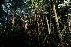 BIB: 
                            <button type="button" onclick="openModal(26391620)" class="btn btn-primary btn-sm float-right btn-popup" data-toggle="modal" data-target=".modal-high-quality">
                        <i class="fas fa-shopping-cart"></i> Add to Cart
                    </button>
                                            <button type="button" onclick="isThisMe(26391620, true)" class="btn btn-success btn-sm float-right btn-popup btn-isme hidden" data-toggle="tooltip" data-placement="bottom" title="นี่คือรูปของคุณใช่ไหม คลิกที่นี่เพื่อเอาเข้าอัลบั้ม">
                        <i class="fas fa-plus"></i> Add to album
                    </button>
                    <button type="button" onclick="isThisMe(26391620, false)" class="btn btn-warning btn-sm float-right btn-popup btn-isnotme hidden">
                        <i class="fas fa-ban"></i> Remove from album
                    </button>