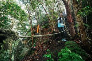 BIB: 
                            <button type="button" onclick="openModal(26402972)" class="btn btn-primary btn-sm float-right btn-popup" data-toggle="modal" data-target=".modal-high-quality">
                        <i class="fas fa-shopping-cart"></i> Add to Cart
                    </button>
                                            <button type="button" onclick="isThisMe(26402972, true)" class="btn btn-success btn-sm float-right btn-popup btn-isme hidden" data-toggle="tooltip" data-placement="bottom" title="นี่คือรูปของคุณใช่ไหม คลิกที่นี่เพื่อเอาเข้าอัลบั้ม">
                        <i class="fas fa-plus"></i> Add to album
                    </button>
                    <button type="button" onclick="isThisMe(26402972, false)" class="btn btn-warning btn-sm float-right btn-popup btn-isnotme hidden">
                        <i class="fas fa-ban"></i> Remove from album
                    </button>