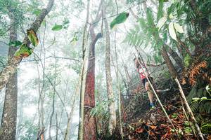 BIB: 
                            <button type="button" onclick="openModal(26402325)" class="btn btn-primary btn-sm float-right btn-popup" data-toggle="modal" data-target=".modal-high-quality">
                        <i class="fas fa-shopping-cart"></i> Add to Cart
                    </button>
                                            <button type="button" onclick="isThisMe(26402325, true)" class="btn btn-success btn-sm float-right btn-popup btn-isme hidden" data-toggle="tooltip" data-placement="bottom" title="นี่คือรูปของคุณใช่ไหม คลิกที่นี่เพื่อเอาเข้าอัลบั้ม">
                        <i class="fas fa-plus"></i> Add to album
                    </button>
                    <button type="button" onclick="isThisMe(26402325, false)" class="btn btn-warning btn-sm float-right btn-popup btn-isnotme hidden">
                        <i class="fas fa-ban"></i> Remove from album
                    </button>