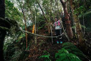 BIB: 
                            <button type="button" onclick="openModal(26404350)" class="btn btn-primary btn-sm float-right btn-popup" data-toggle="modal" data-target=".modal-high-quality">
                        <i class="fas fa-shopping-cart"></i> Add to Cart
                    </button>
                                            <button type="button" onclick="isThisMe(26404350, true)" class="btn btn-success btn-sm float-right btn-popup btn-isme hidden" data-toggle="tooltip" data-placement="bottom" title="นี่คือรูปของคุณใช่ไหม คลิกที่นี่เพื่อเอาเข้าอัลบั้ม">
                        <i class="fas fa-plus"></i> Add to album
                    </button>
                    <button type="button" onclick="isThisMe(26404350, false)" class="btn btn-warning btn-sm float-right btn-popup btn-isnotme hidden">
                        <i class="fas fa-ban"></i> Remove from album
                    </button>