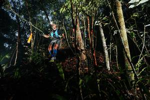 BIB: 
                            <button type="button" onclick="openModal(26389951)" class="btn btn-primary btn-sm float-right btn-popup" data-toggle="modal" data-target=".modal-high-quality">
                        <i class="fas fa-shopping-cart"></i> Add to Cart
                    </button>
                                            <button type="button" onclick="isThisMe(26389951, true)" class="btn btn-success btn-sm float-right btn-popup btn-isme hidden" data-toggle="tooltip" data-placement="bottom" title="นี่คือรูปของคุณใช่ไหม คลิกที่นี่เพื่อเอาเข้าอัลบั้ม">
                        <i class="fas fa-plus"></i> Add to album
                    </button>
                    <button type="button" onclick="isThisMe(26389951, false)" class="btn btn-warning btn-sm float-right btn-popup btn-isnotme hidden">
                        <i class="fas fa-ban"></i> Remove from album
                    </button>