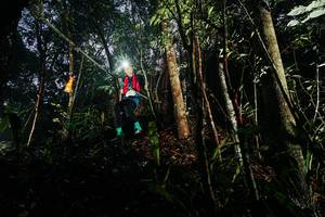 BIB: 
                            <button type="button" onclick="openModal(26388818)" class="btn btn-primary btn-sm float-right btn-popup" data-toggle="modal" data-target=".modal-high-quality">
                        <i class="fas fa-shopping-cart"></i> Add to Cart
                    </button>
                                            <button type="button" onclick="isThisMe(26388818, true)" class="btn btn-success btn-sm float-right btn-popup btn-isme hidden" data-toggle="tooltip" data-placement="bottom" title="นี่คือรูปของคุณใช่ไหม คลิกที่นี่เพื่อเอาเข้าอัลบั้ม">
                        <i class="fas fa-plus"></i> Add to album
                    </button>
                    <button type="button" onclick="isThisMe(26388818, false)" class="btn btn-warning btn-sm float-right btn-popup btn-isnotme hidden">
                        <i class="fas fa-ban"></i> Remove from album
                    </button>