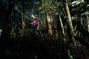 BIB: 
                            <button type="button" onclick="openModal(26386812)" class="btn btn-primary btn-sm float-right btn-popup" data-toggle="modal" data-target=".modal-high-quality">
                        <i class="fas fa-shopping-cart"></i> Add to Cart
                    </button>
                                            <button type="button" onclick="isThisMe(26386812, true)" class="btn btn-success btn-sm float-right btn-popup btn-isme hidden" data-toggle="tooltip" data-placement="bottom" title="นี่คือรูปของคุณใช่ไหม คลิกที่นี่เพื่อเอาเข้าอัลบั้ม">
                        <i class="fas fa-plus"></i> Add to album
                    </button>
                    <button type="button" onclick="isThisMe(26386812, false)" class="btn btn-warning btn-sm float-right btn-popup btn-isnotme hidden">
                        <i class="fas fa-ban"></i> Remove from album
                    </button>