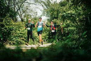 BIB: 
                            <button type="button" onclick="openModal(26409153)" class="btn btn-primary btn-sm float-right btn-popup" data-toggle="modal" data-target=".modal-high-quality">
                        <i class="fas fa-shopping-cart"></i> Add to Cart
                    </button>
                                            <button type="button" onclick="isThisMe(26409153, true)" class="btn btn-success btn-sm float-right btn-popup btn-isme hidden" data-toggle="tooltip" data-placement="bottom" title="นี่คือรูปของคุณใช่ไหม คลิกที่นี่เพื่อเอาเข้าอัลบั้ม">
                        <i class="fas fa-plus"></i> Add to album
                    </button>
                    <button type="button" onclick="isThisMe(26409153, false)" class="btn btn-warning btn-sm float-right btn-popup btn-isnotme hidden">
                        <i class="fas fa-ban"></i> Remove from album
                    </button>