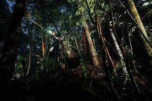 BIB: 
                            <button type="button" onclick="openModal(26387834)" class="btn btn-primary btn-sm float-right btn-popup" data-toggle="modal" data-target=".modal-high-quality">
                        <i class="fas fa-shopping-cart"></i> Add to Cart
                    </button>
                                            <button type="button" onclick="isThisMe(26387834, true)" class="btn btn-success btn-sm float-right btn-popup btn-isme hidden" data-toggle="tooltip" data-placement="bottom" title="นี่คือรูปของคุณใช่ไหม คลิกที่นี่เพื่อเอาเข้าอัลบั้ม">
                        <i class="fas fa-plus"></i> Add to album
                    </button>
                    <button type="button" onclick="isThisMe(26387834, false)" class="btn btn-warning btn-sm float-right btn-popup btn-isnotme hidden">
                        <i class="fas fa-ban"></i> Remove from album
                    </button>