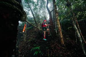 BIB: 
                            <button type="button" onclick="openModal(26401794)" class="btn btn-primary btn-sm float-right btn-popup" data-toggle="modal" data-target=".modal-high-quality">
                        <i class="fas fa-shopping-cart"></i> Add to Cart
                    </button>
                                            <button type="button" onclick="isThisMe(26401794, true)" class="btn btn-success btn-sm float-right btn-popup btn-isme hidden" data-toggle="tooltip" data-placement="bottom" title="นี่คือรูปของคุณใช่ไหม คลิกที่นี่เพื่อเอาเข้าอัลบั้ม">
                        <i class="fas fa-plus"></i> Add to album
                    </button>
                    <button type="button" onclick="isThisMe(26401794, false)" class="btn btn-warning btn-sm float-right btn-popup btn-isnotme hidden">
                        <i class="fas fa-ban"></i> Remove from album
                    </button>