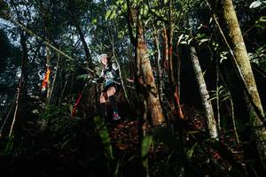 BIB: 
                            <button type="button" onclick="openModal(26392934)" class="btn btn-primary btn-sm float-right btn-popup" data-toggle="modal" data-target=".modal-high-quality">
                        <i class="fas fa-shopping-cart"></i> Add to Cart
                    </button>
                                            <button type="button" onclick="isThisMe(26392934, true)" class="btn btn-success btn-sm float-right btn-popup btn-isme hidden" data-toggle="tooltip" data-placement="bottom" title="นี่คือรูปของคุณใช่ไหม คลิกที่นี่เพื่อเอาเข้าอัลบั้ม">
                        <i class="fas fa-plus"></i> Add to album
                    </button>
                    <button type="button" onclick="isThisMe(26392934, false)" class="btn btn-warning btn-sm float-right btn-popup btn-isnotme hidden">
                        <i class="fas fa-ban"></i> Remove from album
                    </button>