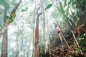 BIB: 
                            <button type="button" onclick="openModal(26402326)" class="btn btn-primary btn-sm float-right btn-popup" data-toggle="modal" data-target=".modal-high-quality">
                        <i class="fas fa-shopping-cart"></i> Add to Cart
                    </button>
                                            <button type="button" onclick="isThisMe(26402326, true)" class="btn btn-success btn-sm float-right btn-popup btn-isme hidden" data-toggle="tooltip" data-placement="bottom" title="นี่คือรูปของคุณใช่ไหม คลิกที่นี่เพื่อเอาเข้าอัลบั้ม">
                        <i class="fas fa-plus"></i> Add to album
                    </button>
                    <button type="button" onclick="isThisMe(26402326, false)" class="btn btn-warning btn-sm float-right btn-popup btn-isnotme hidden">
                        <i class="fas fa-ban"></i> Remove from album
                    </button>