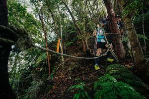 BIB: 
                            <button type="button" onclick="openModal(26404567)" class="btn btn-primary btn-sm float-right btn-popup" data-toggle="modal" data-target=".modal-high-quality">
                        <i class="fas fa-shopping-cart"></i> Add to Cart
                    </button>
                                            <button type="button" onclick="isThisMe(26404567, true)" class="btn btn-success btn-sm float-right btn-popup btn-isme hidden" data-toggle="tooltip" data-placement="bottom" title="นี่คือรูปของคุณใช่ไหม คลิกที่นี่เพื่อเอาเข้าอัลบั้ม">
                        <i class="fas fa-plus"></i> Add to album
                    </button>
                    <button type="button" onclick="isThisMe(26404567, false)" class="btn btn-warning btn-sm float-right btn-popup btn-isnotme hidden">
                        <i class="fas fa-ban"></i> Remove from album
                    </button>