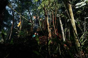 BIB: 
                            <button type="button" onclick="openModal(26390929)" class="btn btn-primary btn-sm float-right btn-popup" data-toggle="modal" data-target=".modal-high-quality">
                        <i class="fas fa-shopping-cart"></i> Add to Cart
                    </button>
                                            <button type="button" onclick="isThisMe(26390929, true)" class="btn btn-success btn-sm float-right btn-popup btn-isme hidden" data-toggle="tooltip" data-placement="bottom" title="นี่คือรูปของคุณใช่ไหม คลิกที่นี่เพื่อเอาเข้าอัลบั้ม">
                        <i class="fas fa-plus"></i> Add to album
                    </button>
                    <button type="button" onclick="isThisMe(26390929, false)" class="btn btn-warning btn-sm float-right btn-popup btn-isnotme hidden">
                        <i class="fas fa-ban"></i> Remove from album
                    </button>