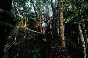 BIB: 
                            <button type="button" onclick="openModal(26396767)" class="btn btn-primary btn-sm float-right btn-popup" data-toggle="modal" data-target=".modal-high-quality">
                        <i class="fas fa-shopping-cart"></i> Add to Cart
                    </button>
                                            <button type="button" onclick="isThisMe(26396767, true)" class="btn btn-success btn-sm float-right btn-popup btn-isme hidden" data-toggle="tooltip" data-placement="bottom" title="นี่คือรูปของคุณใช่ไหม คลิกที่นี่เพื่อเอาเข้าอัลบั้ม">
                        <i class="fas fa-plus"></i> Add to album
                    </button>
                    <button type="button" onclick="isThisMe(26396767, false)" class="btn btn-warning btn-sm float-right btn-popup btn-isnotme hidden">
                        <i class="fas fa-ban"></i> Remove from album
                    </button>