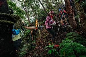 BIB: 
                            <button type="button" onclick="openModal(26404784)" class="btn btn-primary btn-sm float-right btn-popup" data-toggle="modal" data-target=".modal-high-quality">
                        <i class="fas fa-shopping-cart"></i> Add to Cart
                    </button>
                                            <button type="button" onclick="isThisMe(26404784, true)" class="btn btn-success btn-sm float-right btn-popup btn-isme hidden" data-toggle="tooltip" data-placement="bottom" title="นี่คือรูปของคุณใช่ไหม คลิกที่นี่เพื่อเอาเข้าอัลบั้ม">
                        <i class="fas fa-plus"></i> Add to album
                    </button>
                    <button type="button" onclick="isThisMe(26404784, false)" class="btn btn-warning btn-sm float-right btn-popup btn-isnotme hidden">
                        <i class="fas fa-ban"></i> Remove from album
                    </button>