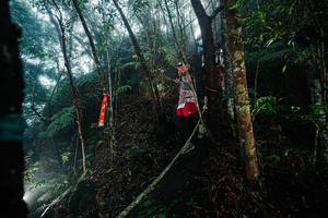 BIB: 
                            <button type="button" onclick="openModal(26401627)" class="btn btn-primary btn-sm float-right btn-popup" data-toggle="modal" data-target=".modal-high-quality">
                        <i class="fas fa-shopping-cart"></i> Add to Cart
                    </button>
                                            <button type="button" onclick="isThisMe(26401627, true)" class="btn btn-success btn-sm float-right btn-popup btn-isme hidden" data-toggle="tooltip" data-placement="bottom" title="นี่คือรูปของคุณใช่ไหม คลิกที่นี่เพื่อเอาเข้าอัลบั้ม">
                        <i class="fas fa-plus"></i> Add to album
                    </button>
                    <button type="button" onclick="isThisMe(26401627, false)" class="btn btn-warning btn-sm float-right btn-popup btn-isnotme hidden">
                        <i class="fas fa-ban"></i> Remove from album
                    </button>