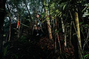 BIB: 
                            <button type="button" onclick="openModal(26394582)" class="btn btn-primary btn-sm float-right btn-popup" data-toggle="modal" data-target=".modal-high-quality">
                        <i class="fas fa-shopping-cart"></i> Add to Cart
                    </button>
                                            <button type="button" onclick="isThisMe(26394582, true)" class="btn btn-success btn-sm float-right btn-popup btn-isme hidden" data-toggle="tooltip" data-placement="bottom" title="นี่คือรูปของคุณใช่ไหม คลิกที่นี่เพื่อเอาเข้าอัลบั้ม">
                        <i class="fas fa-plus"></i> Add to album
                    </button>
                    <button type="button" onclick="isThisMe(26394582, false)" class="btn btn-warning btn-sm float-right btn-popup btn-isnotme hidden">
                        <i class="fas fa-ban"></i> Remove from album
                    </button>