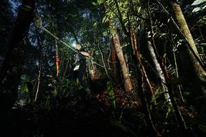 BIB: 
                            <button type="button" onclick="openModal(26387829)" class="btn btn-primary btn-sm float-right btn-popup" data-toggle="modal" data-target=".modal-high-quality">
                        <i class="fas fa-shopping-cart"></i> Add to Cart
                    </button>
                                            <button type="button" onclick="isThisMe(26387829, true)" class="btn btn-success btn-sm float-right btn-popup btn-isme hidden" data-toggle="tooltip" data-placement="bottom" title="นี่คือรูปของคุณใช่ไหม คลิกที่นี่เพื่อเอาเข้าอัลบั้ม">
                        <i class="fas fa-plus"></i> Add to album
                    </button>
                    <button type="button" onclick="isThisMe(26387829, false)" class="btn btn-warning btn-sm float-right btn-popup btn-isnotme hidden">
                        <i class="fas fa-ban"></i> Remove from album
                    </button>