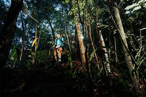 BIB: 
                            <button type="button" onclick="openModal(26391220)" class="btn btn-primary btn-sm float-right btn-popup" data-toggle="modal" data-target=".modal-high-quality">
                        <i class="fas fa-shopping-cart"></i> Add to Cart
                    </button>
                                            <button type="button" onclick="isThisMe(26391220, true)" class="btn btn-success btn-sm float-right btn-popup btn-isme hidden" data-toggle="tooltip" data-placement="bottom" title="นี่คือรูปของคุณใช่ไหม คลิกที่นี่เพื่อเอาเข้าอัลบั้ม">
                        <i class="fas fa-plus"></i> Add to album
                    </button>
                    <button type="button" onclick="isThisMe(26391220, false)" class="btn btn-warning btn-sm float-right btn-popup btn-isnotme hidden">
                        <i class="fas fa-ban"></i> Remove from album
                    </button>