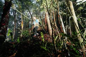 BIB: 
                            <button type="button" onclick="openModal(26389364)" class="btn btn-primary btn-sm float-right btn-popup" data-toggle="modal" data-target=".modal-high-quality">
                        <i class="fas fa-shopping-cart"></i> Add to Cart
                    </button>
                                            <button type="button" onclick="isThisMe(26389364, true)" class="btn btn-success btn-sm float-right btn-popup btn-isme hidden" data-toggle="tooltip" data-placement="bottom" title="นี่คือรูปของคุณใช่ไหม คลิกที่นี่เพื่อเอาเข้าอัลบั้ม">
                        <i class="fas fa-plus"></i> Add to album
                    </button>
                    <button type="button" onclick="isThisMe(26389364, false)" class="btn btn-warning btn-sm float-right btn-popup btn-isnotme hidden">
                        <i class="fas fa-ban"></i> Remove from album
                    </button>