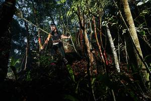 BIB: 
                            <button type="button" onclick="openModal(26391008)" class="btn btn-primary btn-sm float-right btn-popup" data-toggle="modal" data-target=".modal-high-quality">
                        <i class="fas fa-shopping-cart"></i> Add to Cart
                    </button>
                                            <button type="button" onclick="isThisMe(26391008, true)" class="btn btn-success btn-sm float-right btn-popup btn-isme hidden" data-toggle="tooltip" data-placement="bottom" title="นี่คือรูปของคุณใช่ไหม คลิกที่นี่เพื่อเอาเข้าอัลบั้ม">
                        <i class="fas fa-plus"></i> Add to album
                    </button>
                    <button type="button" onclick="isThisMe(26391008, false)" class="btn btn-warning btn-sm float-right btn-popup btn-isnotme hidden">
                        <i class="fas fa-ban"></i> Remove from album
                    </button>