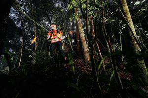 BIB: 
                            <button type="button" onclick="openModal(26388862)" class="btn btn-primary btn-sm float-right btn-popup" data-toggle="modal" data-target=".modal-high-quality">
                        <i class="fas fa-shopping-cart"></i> Add to Cart
                    </button>
                                            <button type="button" onclick="isThisMe(26388862, true)" class="btn btn-success btn-sm float-right btn-popup btn-isme hidden" data-toggle="tooltip" data-placement="bottom" title="นี่คือรูปของคุณใช่ไหม คลิกที่นี่เพื่อเอาเข้าอัลบั้ม">
                        <i class="fas fa-plus"></i> Add to album
                    </button>
                    <button type="button" onclick="isThisMe(26388862, false)" class="btn btn-warning btn-sm float-right btn-popup btn-isnotme hidden">
                        <i class="fas fa-ban"></i> Remove from album
                    </button>