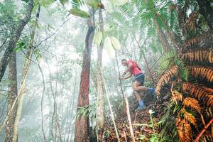 BIB: 
                            <button type="button" onclick="openModal(26402322)" class="btn btn-primary btn-sm float-right btn-popup" data-toggle="modal" data-target=".modal-high-quality">
                        <i class="fas fa-shopping-cart"></i> Add to Cart
                    </button>
                                            <button type="button" onclick="isThisMe(26402322, true)" class="btn btn-success btn-sm float-right btn-popup btn-isme hidden" data-toggle="tooltip" data-placement="bottom" title="นี่คือรูปของคุณใช่ไหม คลิกที่นี่เพื่อเอาเข้าอัลบั้ม">
                        <i class="fas fa-plus"></i> Add to album
                    </button>
                    <button type="button" onclick="isThisMe(26402322, false)" class="btn btn-warning btn-sm float-right btn-popup btn-isnotme hidden">
                        <i class="fas fa-ban"></i> Remove from album
                    </button>