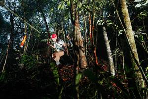 BIB: 
                            <button type="button" onclick="openModal(26392789)" class="btn btn-primary btn-sm float-right btn-popup" data-toggle="modal" data-target=".modal-high-quality">
                        <i class="fas fa-shopping-cart"></i> Add to Cart
                    </button>
                                            <button type="button" onclick="isThisMe(26392789, true)" class="btn btn-success btn-sm float-right btn-popup btn-isme hidden" data-toggle="tooltip" data-placement="bottom" title="นี่คือรูปของคุณใช่ไหม คลิกที่นี่เพื่อเอาเข้าอัลบั้ม">
                        <i class="fas fa-plus"></i> Add to album
                    </button>
                    <button type="button" onclick="isThisMe(26392789, false)" class="btn btn-warning btn-sm float-right btn-popup btn-isnotme hidden">
                        <i class="fas fa-ban"></i> Remove from album
                    </button>