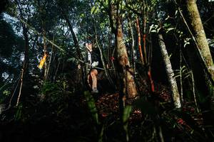 BIB: 
                            <button type="button" onclick="openModal(26393268)" class="btn btn-primary btn-sm float-right btn-popup" data-toggle="modal" data-target=".modal-high-quality">
                        <i class="fas fa-shopping-cart"></i> Add to Cart
                    </button>
                                            <button type="button" onclick="isThisMe(26393268, true)" class="btn btn-success btn-sm float-right btn-popup btn-isme hidden" data-toggle="tooltip" data-placement="bottom" title="นี่คือรูปของคุณใช่ไหม คลิกที่นี่เพื่อเอาเข้าอัลบั้ม">
                        <i class="fas fa-plus"></i> Add to album
                    </button>
                    <button type="button" onclick="isThisMe(26393268, false)" class="btn btn-warning btn-sm float-right btn-popup btn-isnotme hidden">
                        <i class="fas fa-ban"></i> Remove from album
                    </button>