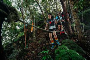 BIB: 
                            <button type="button" onclick="openModal(26403730)" class="btn btn-primary btn-sm float-right btn-popup" data-toggle="modal" data-target=".modal-high-quality">
                        <i class="fas fa-shopping-cart"></i> Add to Cart
                    </button>
                                            <button type="button" onclick="isThisMe(26403730, true)" class="btn btn-success btn-sm float-right btn-popup btn-isme hidden" data-toggle="tooltip" data-placement="bottom" title="นี่คือรูปของคุณใช่ไหม คลิกที่นี่เพื่อเอาเข้าอัลบั้ม">
                        <i class="fas fa-plus"></i> Add to album
                    </button>
                    <button type="button" onclick="isThisMe(26403730, false)" class="btn btn-warning btn-sm float-right btn-popup btn-isnotme hidden">
                        <i class="fas fa-ban"></i> Remove from album
                    </button>