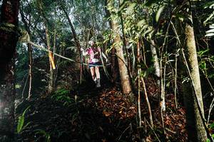 BIB: 
                            <button type="button" onclick="openModal(26394471)" class="btn btn-primary btn-sm float-right btn-popup" data-toggle="modal" data-target=".modal-high-quality">
                        <i class="fas fa-shopping-cart"></i> Add to Cart
                    </button>
                                            <button type="button" onclick="isThisMe(26394471, true)" class="btn btn-success btn-sm float-right btn-popup btn-isme hidden" data-toggle="tooltip" data-placement="bottom" title="นี่คือรูปของคุณใช่ไหม คลิกที่นี่เพื่อเอาเข้าอัลบั้ม">
                        <i class="fas fa-plus"></i> Add to album
                    </button>
                    <button type="button" onclick="isThisMe(26394471, false)" class="btn btn-warning btn-sm float-right btn-popup btn-isnotme hidden">
                        <i class="fas fa-ban"></i> Remove from album
                    </button>