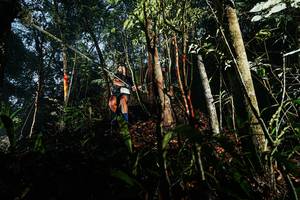 BIB: 
                            <button type="button" onclick="openModal(26390676)" class="btn btn-primary btn-sm float-right btn-popup" data-toggle="modal" data-target=".modal-high-quality">
                        <i class="fas fa-shopping-cart"></i> Add to Cart
                    </button>
                                            <button type="button" onclick="isThisMe(26390676, true)" class="btn btn-success btn-sm float-right btn-popup btn-isme hidden" data-toggle="tooltip" data-placement="bottom" title="นี่คือรูปของคุณใช่ไหม คลิกที่นี่เพื่อเอาเข้าอัลบั้ม">
                        <i class="fas fa-plus"></i> Add to album
                    </button>
                    <button type="button" onclick="isThisMe(26390676, false)" class="btn btn-warning btn-sm float-right btn-popup btn-isnotme hidden">
                        <i class="fas fa-ban"></i> Remove from album
                    </button>