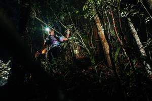 BIB: 
                            <button type="button" onclick="openModal(26385446)" class="btn btn-primary btn-sm float-right btn-popup" data-toggle="modal" data-target=".modal-high-quality">
                        <i class="fas fa-shopping-cart"></i> Add to Cart
                    </button>
                                            <button type="button" onclick="isThisMe(26385446, true)" class="btn btn-success btn-sm float-right btn-popup btn-isme hidden" data-toggle="tooltip" data-placement="bottom" title="นี่คือรูปของคุณใช่ไหม คลิกที่นี่เพื่อเอาเข้าอัลบั้ม">
                        <i class="fas fa-plus"></i> Add to album
                    </button>
                    <button type="button" onclick="isThisMe(26385446, false)" class="btn btn-warning btn-sm float-right btn-popup btn-isnotme hidden">
                        <i class="fas fa-ban"></i> Remove from album
                    </button>