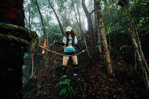 BIB: 
                            <button type="button" onclick="openModal(26402094)" class="btn btn-primary btn-sm float-right btn-popup" data-toggle="modal" data-target=".modal-high-quality">
                        <i class="fas fa-shopping-cart"></i> Add to Cart
                    </button>
                                            <button type="button" onclick="isThisMe(26402094, true)" class="btn btn-success btn-sm float-right btn-popup btn-isme hidden" data-toggle="tooltip" data-placement="bottom" title="นี่คือรูปของคุณใช่ไหม คลิกที่นี่เพื่อเอาเข้าอัลบั้ม">
                        <i class="fas fa-plus"></i> Add to album
                    </button>
                    <button type="button" onclick="isThisMe(26402094, false)" class="btn btn-warning btn-sm float-right btn-popup btn-isnotme hidden">
                        <i class="fas fa-ban"></i> Remove from album
                    </button>