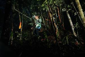 BIB: 
                            <button type="button" onclick="openModal(26386237)" class="btn btn-primary btn-sm float-right btn-popup" data-toggle="modal" data-target=".modal-high-quality">
                        <i class="fas fa-shopping-cart"></i> Add to Cart
                    </button>
                                            <button type="button" onclick="isThisMe(26386237, true)" class="btn btn-success btn-sm float-right btn-popup btn-isme hidden" data-toggle="tooltip" data-placement="bottom" title="นี่คือรูปของคุณใช่ไหม คลิกที่นี่เพื่อเอาเข้าอัลบั้ม">
                        <i class="fas fa-plus"></i> Add to album
                    </button>
                    <button type="button" onclick="isThisMe(26386237, false)" class="btn btn-warning btn-sm float-right btn-popup btn-isnotme hidden">
                        <i class="fas fa-ban"></i> Remove from album
                    </button>