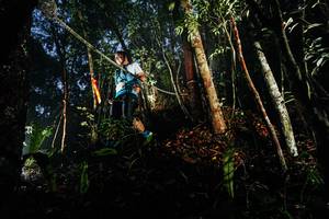 BIB: 
                            <button type="button" onclick="openModal(26388087)" class="btn btn-primary btn-sm float-right btn-popup" data-toggle="modal" data-target=".modal-high-quality">
                        <i class="fas fa-shopping-cart"></i> Add to Cart
                    </button>
                                            <button type="button" onclick="isThisMe(26388087, true)" class="btn btn-success btn-sm float-right btn-popup btn-isme hidden" data-toggle="tooltip" data-placement="bottom" title="นี่คือรูปของคุณใช่ไหม คลิกที่นี่เพื่อเอาเข้าอัลบั้ม">
                        <i class="fas fa-plus"></i> Add to album
                    </button>
                    <button type="button" onclick="isThisMe(26388087, false)" class="btn btn-warning btn-sm float-right btn-popup btn-isnotme hidden">
                        <i class="fas fa-ban"></i> Remove from album
                    </button>