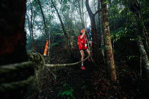 BIB: 
                            <button type="button" onclick="openModal(26401430)" class="btn btn-primary btn-sm float-right btn-popup" data-toggle="modal" data-target=".modal-high-quality">
                        <i class="fas fa-shopping-cart"></i> Add to Cart
                    </button>
                                            <button type="button" onclick="isThisMe(26401430, true)" class="btn btn-success btn-sm float-right btn-popup btn-isme hidden" data-toggle="tooltip" data-placement="bottom" title="นี่คือรูปของคุณใช่ไหม คลิกที่นี่เพื่อเอาเข้าอัลบั้ม">
                        <i class="fas fa-plus"></i> Add to album
                    </button>
                    <button type="button" onclick="isThisMe(26401430, false)" class="btn btn-warning btn-sm float-right btn-popup btn-isnotme hidden">
                        <i class="fas fa-ban"></i> Remove from album
                    </button>