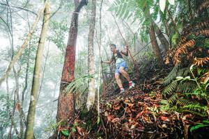 BIB: 
                            <button type="button" onclick="openModal(26402329)" class="btn btn-primary btn-sm float-right btn-popup" data-toggle="modal" data-target=".modal-high-quality">
                        <i class="fas fa-shopping-cart"></i> Add to Cart
                    </button>
                                            <button type="button" onclick="isThisMe(26402329, true)" class="btn btn-success btn-sm float-right btn-popup btn-isme hidden" data-toggle="tooltip" data-placement="bottom" title="นี่คือรูปของคุณใช่ไหม คลิกที่นี่เพื่อเอาเข้าอัลบั้ม">
                        <i class="fas fa-plus"></i> Add to album
                    </button>
                    <button type="button" onclick="isThisMe(26402329, false)" class="btn btn-warning btn-sm float-right btn-popup btn-isnotme hidden">
                        <i class="fas fa-ban"></i> Remove from album
                    </button>