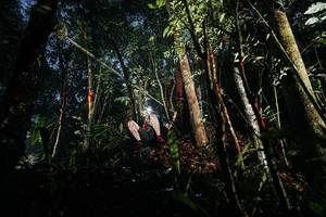 BIB: 
                            <button type="button" onclick="openModal(26387751)" class="btn btn-primary btn-sm float-right btn-popup" data-toggle="modal" data-target=".modal-high-quality">
                        <i class="fas fa-shopping-cart"></i> Add to Cart
                    </button>
                                            <button type="button" onclick="isThisMe(26387751, true)" class="btn btn-success btn-sm float-right btn-popup btn-isme hidden" data-toggle="tooltip" data-placement="bottom" title="นี่คือรูปของคุณใช่ไหม คลิกที่นี่เพื่อเอาเข้าอัลบั้ม">
                        <i class="fas fa-plus"></i> Add to album
                    </button>
                    <button type="button" onclick="isThisMe(26387751, false)" class="btn btn-warning btn-sm float-right btn-popup btn-isnotme hidden">
                        <i class="fas fa-ban"></i> Remove from album
                    </button>