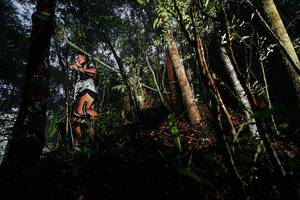 BIB: 
                            <button type="button" onclick="openModal(26388699)" class="btn btn-primary btn-sm float-right btn-popup" data-toggle="modal" data-target=".modal-high-quality">
                        <i class="fas fa-shopping-cart"></i> Add to Cart
                    </button>
                                            <button type="button" onclick="isThisMe(26388699, true)" class="btn btn-success btn-sm float-right btn-popup btn-isme hidden" data-toggle="tooltip" data-placement="bottom" title="นี่คือรูปของคุณใช่ไหม คลิกที่นี่เพื่อเอาเข้าอัลบั้ม">
                        <i class="fas fa-plus"></i> Add to album
                    </button>
                    <button type="button" onclick="isThisMe(26388699, false)" class="btn btn-warning btn-sm float-right btn-popup btn-isnotme hidden">
                        <i class="fas fa-ban"></i> Remove from album
                    </button>