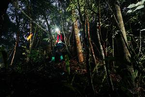 BIB: 
                            <button type="button" onclick="openModal(26388798)" class="btn btn-primary btn-sm float-right btn-popup" data-toggle="modal" data-target=".modal-high-quality">
                        <i class="fas fa-shopping-cart"></i> Add to Cart
                    </button>
                                            <button type="button" onclick="isThisMe(26388798, true)" class="btn btn-success btn-sm float-right btn-popup btn-isme hidden" data-toggle="tooltip" data-placement="bottom" title="นี่คือรูปของคุณใช่ไหม คลิกที่นี่เพื่อเอาเข้าอัลบั้ม">
                        <i class="fas fa-plus"></i> Add to album
                    </button>
                    <button type="button" onclick="isThisMe(26388798, false)" class="btn btn-warning btn-sm float-right btn-popup btn-isnotme hidden">
                        <i class="fas fa-ban"></i> Remove from album
                    </button>