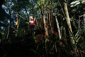 BIB: 
                            <button type="button" onclick="openModal(26390864)" class="btn btn-primary btn-sm float-right btn-popup" data-toggle="modal" data-target=".modal-high-quality">
                        <i class="fas fa-shopping-cart"></i> Add to Cart
                    </button>
                                            <button type="button" onclick="isThisMe(26390864, true)" class="btn btn-success btn-sm float-right btn-popup btn-isme hidden" data-toggle="tooltip" data-placement="bottom" title="นี่คือรูปของคุณใช่ไหม คลิกที่นี่เพื่อเอาเข้าอัลบั้ม">
                        <i class="fas fa-plus"></i> Add to album
                    </button>
                    <button type="button" onclick="isThisMe(26390864, false)" class="btn btn-warning btn-sm float-right btn-popup btn-isnotme hidden">
                        <i class="fas fa-ban"></i> Remove from album
                    </button>