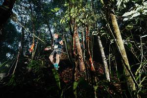 BIB: 
                            <button type="button" onclick="openModal(26392710)" class="btn btn-primary btn-sm float-right btn-popup" data-toggle="modal" data-target=".modal-high-quality">
                        <i class="fas fa-shopping-cart"></i> Add to Cart
                    </button>
                                            <button type="button" onclick="isThisMe(26392710, true)" class="btn btn-success btn-sm float-right btn-popup btn-isme hidden" data-toggle="tooltip" data-placement="bottom" title="นี่คือรูปของคุณใช่ไหม คลิกที่นี่เพื่อเอาเข้าอัลบั้ม">
                        <i class="fas fa-plus"></i> Add to album
                    </button>
                    <button type="button" onclick="isThisMe(26392710, false)" class="btn btn-warning btn-sm float-right btn-popup btn-isnotme hidden">
                        <i class="fas fa-ban"></i> Remove from album
                    </button>