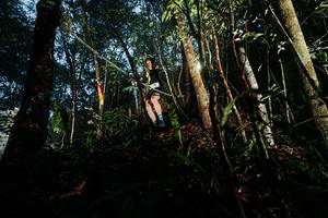 BIB: 
                            <button type="button" onclick="openModal(26391070)" class="btn btn-primary btn-sm float-right btn-popup" data-toggle="modal" data-target=".modal-high-quality">
                        <i class="fas fa-shopping-cart"></i> Add to Cart
                    </button>
                                            <button type="button" onclick="isThisMe(26391070, true)" class="btn btn-success btn-sm float-right btn-popup btn-isme hidden" data-toggle="tooltip" data-placement="bottom" title="นี่คือรูปของคุณใช่ไหม คลิกที่นี่เพื่อเอาเข้าอัลบั้ม">
                        <i class="fas fa-plus"></i> Add to album
                    </button>
                    <button type="button" onclick="isThisMe(26391070, false)" class="btn btn-warning btn-sm float-right btn-popup btn-isnotme hidden">
                        <i class="fas fa-ban"></i> Remove from album
                    </button>