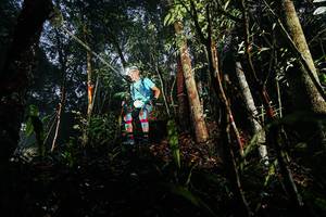 BIB: 
                            <button type="button" onclick="openModal(26388413)" class="btn btn-primary btn-sm float-right btn-popup" data-toggle="modal" data-target=".modal-high-quality">
                        <i class="fas fa-shopping-cart"></i> Add to Cart
                    </button>
                                            <button type="button" onclick="isThisMe(26388413, true)" class="btn btn-success btn-sm float-right btn-popup btn-isme hidden" data-toggle="tooltip" data-placement="bottom" title="นี่คือรูปของคุณใช่ไหม คลิกที่นี่เพื่อเอาเข้าอัลบั้ม">
                        <i class="fas fa-plus"></i> Add to album
                    </button>
                    <button type="button" onclick="isThisMe(26388413, false)" class="btn btn-warning btn-sm float-right btn-popup btn-isnotme hidden">
                        <i class="fas fa-ban"></i> Remove from album
                    </button>