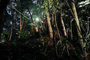 BIB: 
                            <button type="button" onclick="openModal(26388622)" class="btn btn-primary btn-sm float-right btn-popup" data-toggle="modal" data-target=".modal-high-quality">
                        <i class="fas fa-shopping-cart"></i> Add to Cart
                    </button>
                                            <button type="button" onclick="isThisMe(26388622, true)" class="btn btn-success btn-sm float-right btn-popup btn-isme hidden" data-toggle="tooltip" data-placement="bottom" title="นี่คือรูปของคุณใช่ไหม คลิกที่นี่เพื่อเอาเข้าอัลบั้ม">
                        <i class="fas fa-plus"></i> Add to album
                    </button>
                    <button type="button" onclick="isThisMe(26388622, false)" class="btn btn-warning btn-sm float-right btn-popup btn-isnotme hidden">
                        <i class="fas fa-ban"></i> Remove from album
                    </button>