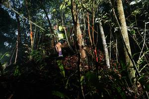 BIB: 
                            <button type="button" onclick="openModal(26389785)" class="btn btn-primary btn-sm float-right btn-popup" data-toggle="modal" data-target=".modal-high-quality">
                        <i class="fas fa-shopping-cart"></i> Add to Cart
                    </button>
                                            <button type="button" onclick="isThisMe(26389785, true)" class="btn btn-success btn-sm float-right btn-popup btn-isme hidden" data-toggle="tooltip" data-placement="bottom" title="นี่คือรูปของคุณใช่ไหม คลิกที่นี่เพื่อเอาเข้าอัลบั้ม">
                        <i class="fas fa-plus"></i> Add to album
                    </button>
                    <button type="button" onclick="isThisMe(26389785, false)" class="btn btn-warning btn-sm float-right btn-popup btn-isnotme hidden">
                        <i class="fas fa-ban"></i> Remove from album
                    </button>