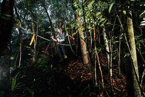 BIB: 
                            <button type="button" onclick="openModal(26394555)" class="btn btn-primary btn-sm float-right btn-popup" data-toggle="modal" data-target=".modal-high-quality">
                        <i class="fas fa-shopping-cart"></i> Add to Cart
                    </button>
                                            <button type="button" onclick="isThisMe(26394555, true)" class="btn btn-success btn-sm float-right btn-popup btn-isme hidden" data-toggle="tooltip" data-placement="bottom" title="นี่คือรูปของคุณใช่ไหม คลิกที่นี่เพื่อเอาเข้าอัลบั้ม">
                        <i class="fas fa-plus"></i> Add to album
                    </button>
                    <button type="button" onclick="isThisMe(26394555, false)" class="btn btn-warning btn-sm float-right btn-popup btn-isnotme hidden">
                        <i class="fas fa-ban"></i> Remove from album
                    </button>