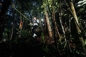 BIB: 
                            <button type="button" onclick="openModal(26387570)" class="btn btn-primary btn-sm float-right btn-popup" data-toggle="modal" data-target=".modal-high-quality">
                        <i class="fas fa-shopping-cart"></i> Add to Cart
                    </button>
                                            <button type="button" onclick="isThisMe(26387570, true)" class="btn btn-success btn-sm float-right btn-popup btn-isme hidden" data-toggle="tooltip" data-placement="bottom" title="นี่คือรูปของคุณใช่ไหม คลิกที่นี่เพื่อเอาเข้าอัลบั้ม">
                        <i class="fas fa-plus"></i> Add to album
                    </button>
                    <button type="button" onclick="isThisMe(26387570, false)" class="btn btn-warning btn-sm float-right btn-popup btn-isnotme hidden">
                        <i class="fas fa-ban"></i> Remove from album
                    </button>