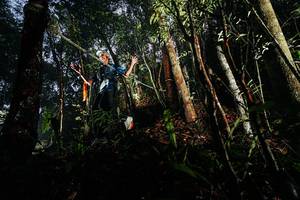 BIB: 
                            <button type="button" onclick="openModal(26388686)" class="btn btn-primary btn-sm float-right btn-popup" data-toggle="modal" data-target=".modal-high-quality">
                        <i class="fas fa-shopping-cart"></i> Add to Cart
                    </button>
                                            <button type="button" onclick="isThisMe(26388686, true)" class="btn btn-success btn-sm float-right btn-popup btn-isme hidden" data-toggle="tooltip" data-placement="bottom" title="นี่คือรูปของคุณใช่ไหม คลิกที่นี่เพื่อเอาเข้าอัลบั้ม">
                        <i class="fas fa-plus"></i> Add to album
                    </button>
                    <button type="button" onclick="isThisMe(26388686, false)" class="btn btn-warning btn-sm float-right btn-popup btn-isnotme hidden">
                        <i class="fas fa-ban"></i> Remove from album
                    </button>