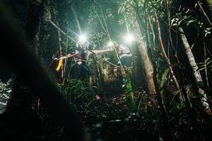 BIB: 
                            <button type="button" onclick="openModal(26385721)" class="btn btn-primary btn-sm float-right btn-popup" data-toggle="modal" data-target=".modal-high-quality">
                        <i class="fas fa-shopping-cart"></i> Add to Cart
                    </button>
                                            <button type="button" onclick="isThisMe(26385721, true)" class="btn btn-success btn-sm float-right btn-popup btn-isme hidden" data-toggle="tooltip" data-placement="bottom" title="นี่คือรูปของคุณใช่ไหม คลิกที่นี่เพื่อเอาเข้าอัลบั้ม">
                        <i class="fas fa-plus"></i> Add to album
                    </button>
                    <button type="button" onclick="isThisMe(26385721, false)" class="btn btn-warning btn-sm float-right btn-popup btn-isnotme hidden">
                        <i class="fas fa-ban"></i> Remove from album
                    </button>