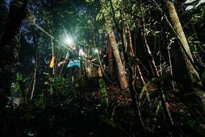 BIB: 
                            <button type="button" onclick="openModal(26387417)" class="btn btn-primary btn-sm float-right btn-popup" data-toggle="modal" data-target=".modal-high-quality">
                        <i class="fas fa-shopping-cart"></i> Add to Cart
                    </button>
                                            <button type="button" onclick="isThisMe(26387417, true)" class="btn btn-success btn-sm float-right btn-popup btn-isme hidden" data-toggle="tooltip" data-placement="bottom" title="นี่คือรูปของคุณใช่ไหม คลิกที่นี่เพื่อเอาเข้าอัลบั้ม">
                        <i class="fas fa-plus"></i> Add to album
                    </button>
                    <button type="button" onclick="isThisMe(26387417, false)" class="btn btn-warning btn-sm float-right btn-popup btn-isnotme hidden">
                        <i class="fas fa-ban"></i> Remove from album
                    </button>